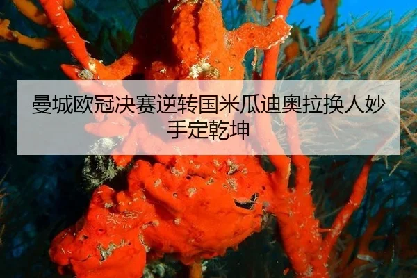 曼城欧冠决赛逆转国米瓜迪奥拉换人妙手定乾坤