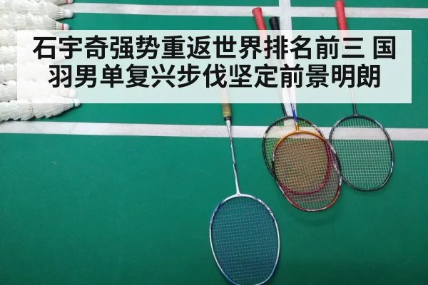 badminton match court