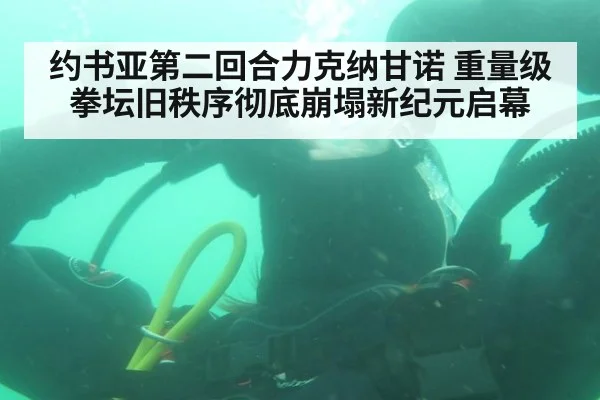 约书亚第二回合力克纳甘诺 重量级拳坛旧秩序彻底崩塌新纪元启幕
